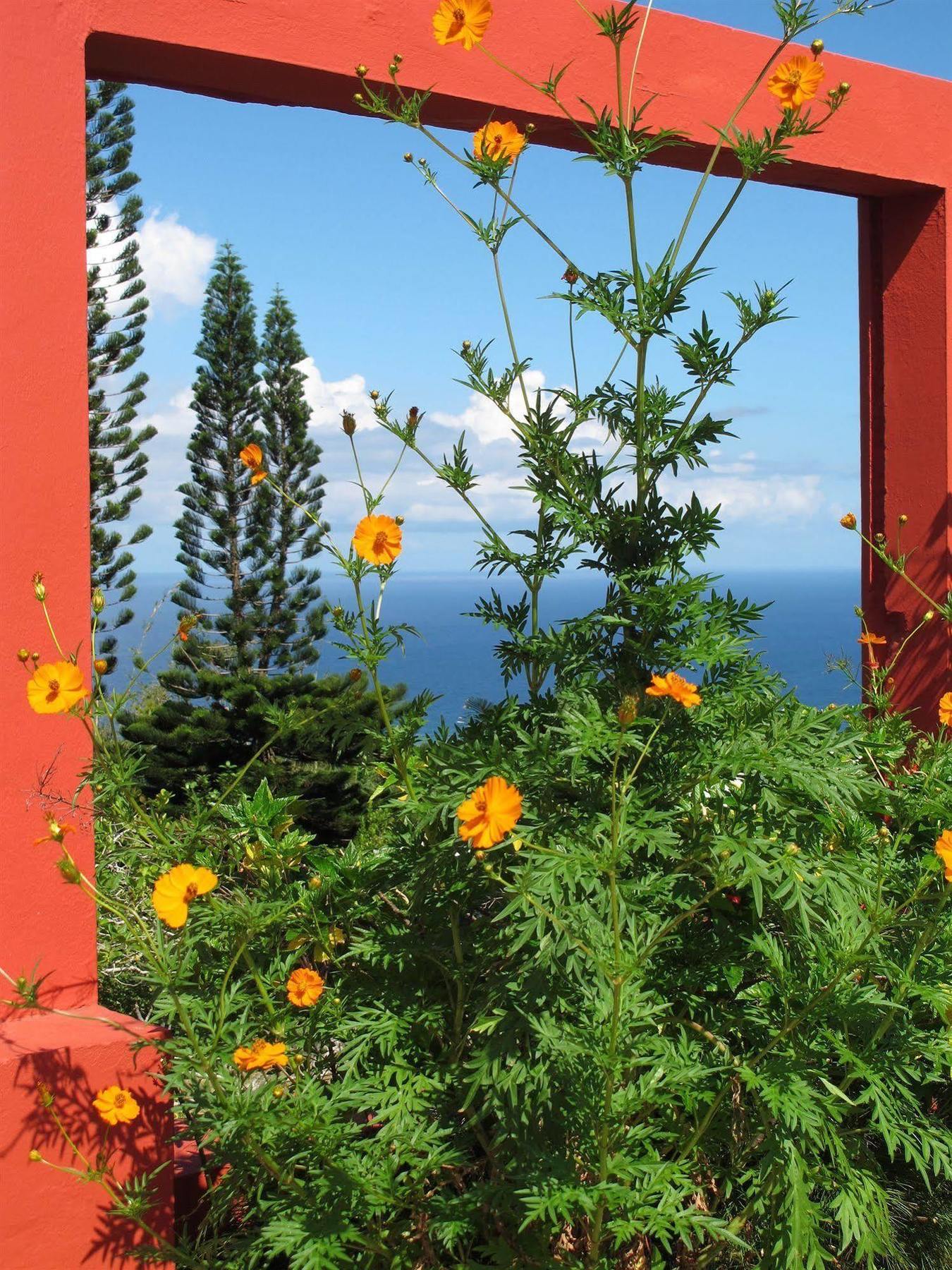 Golden Rock Nevis Ξενοδοχείο Εξωτερικό φωτογραφία